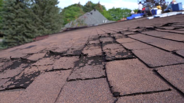 Best Roof Leak Repair  in West Fork, AR